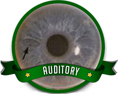 Auditory Eye